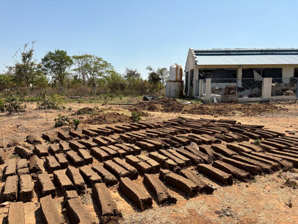 WhatsApp Image 2025-03-09 at 2.09.25 PM